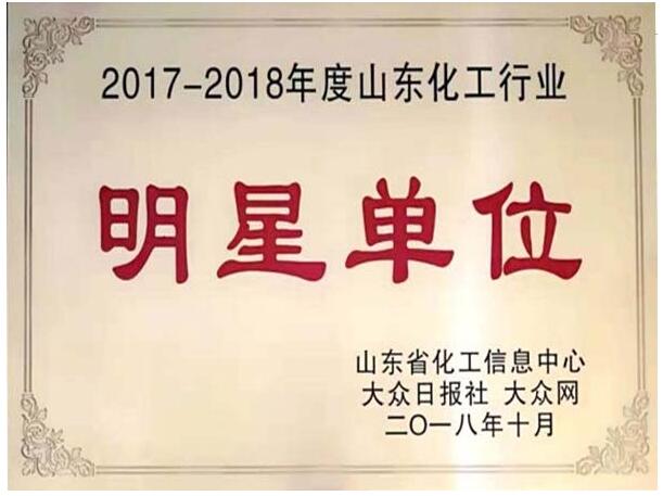 山东化工行业明星单位